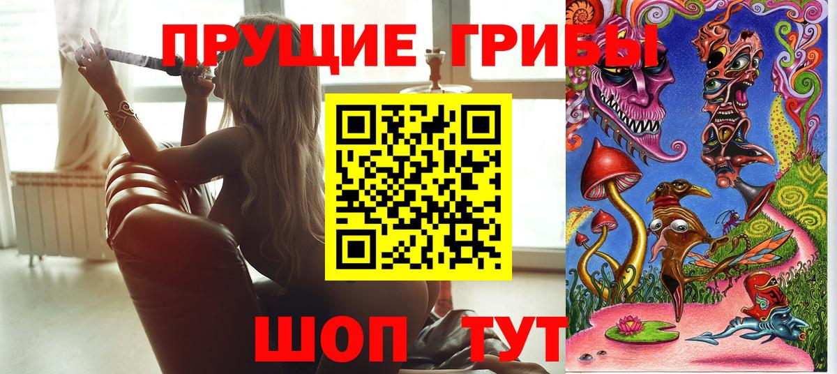 Псилоцибиновые грибы Psilocybine cubensis  Вход с VPN  Павловский Посад 